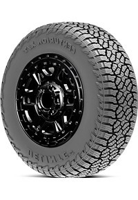 Delinte Centurion X/T tire
